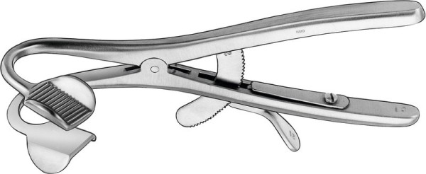 Mundsperrer nach Denhard