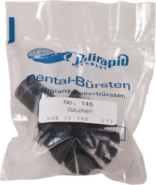 Gaumenpolierbürsten