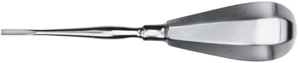 Wurzelheber nach Bein