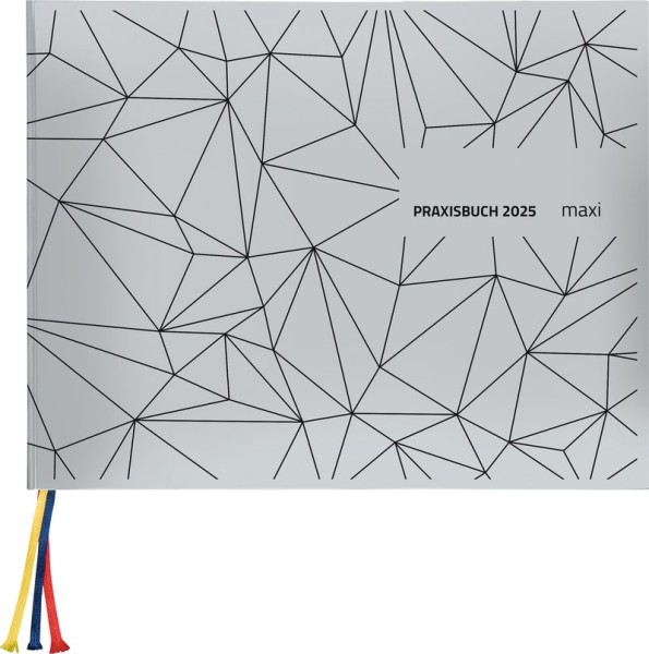 Praxisbuch Maxi