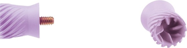 Young™ Prophylaxekelch Elite weich