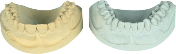 picodent® N 100