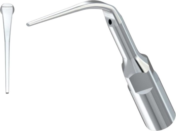 Woodpecker Paro-Spitzen