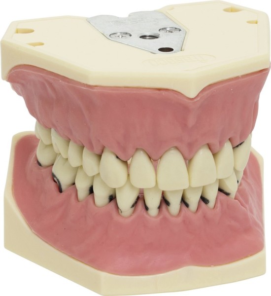 Arbeitsmodell A-PZ
