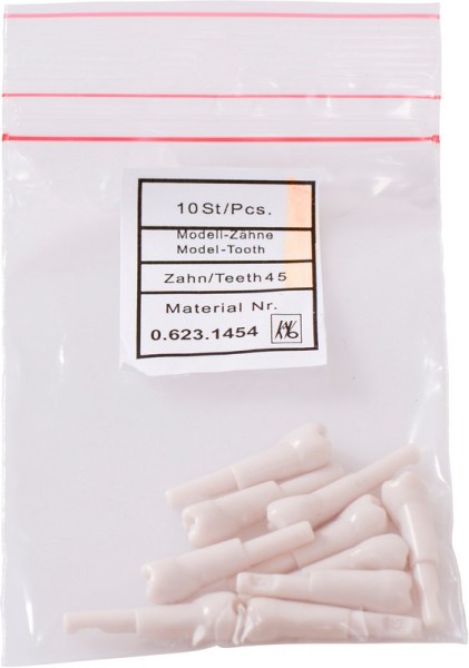 Schnappzahn Modell Prämolar 14 Pa 10
